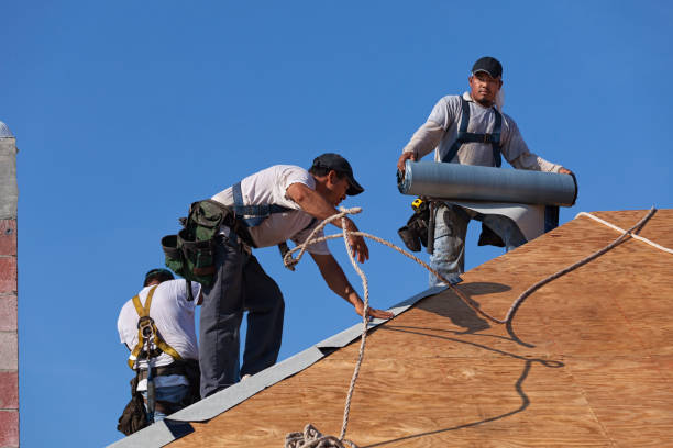 Best Emergency Roof Repair  in Hidalgo, TX
