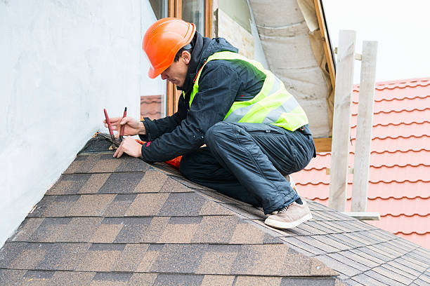 Best Storm Damage Roof Repair  in Hidalgo, TX