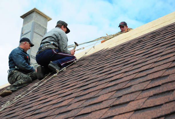 Best Commercial Roofing Services  in Hidalgo, TX
